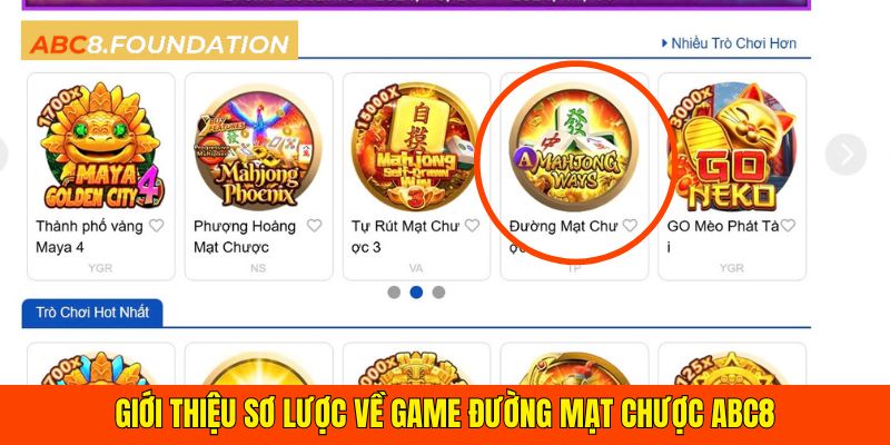 so-luoc-duong-mat-chuoc-ABC8.jpg